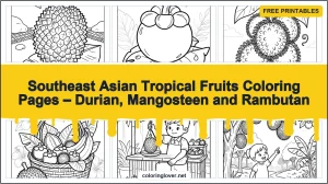 Southeast Asian Tropical Fruits Coloring Pages – Durian, Mangosteen and Rambutan