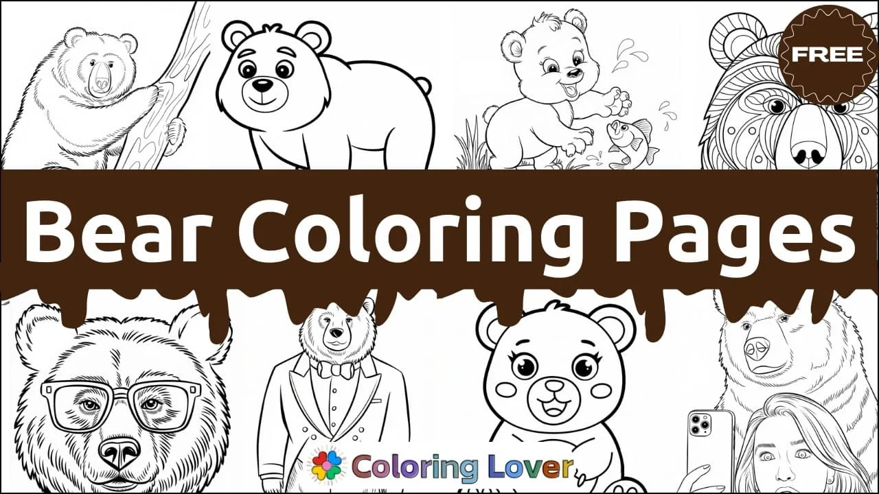 Desenhos de Ursos para Colorir