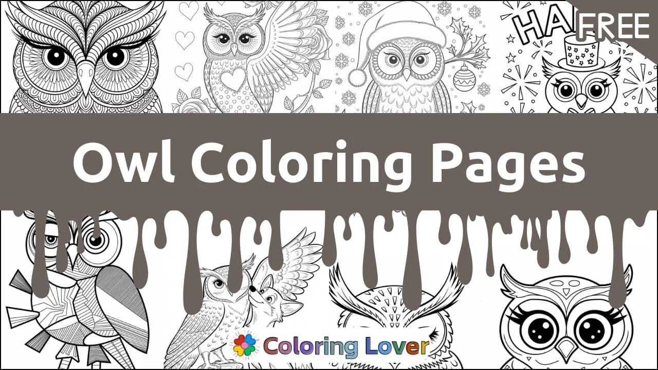 Páginas para Colorir de Corujas