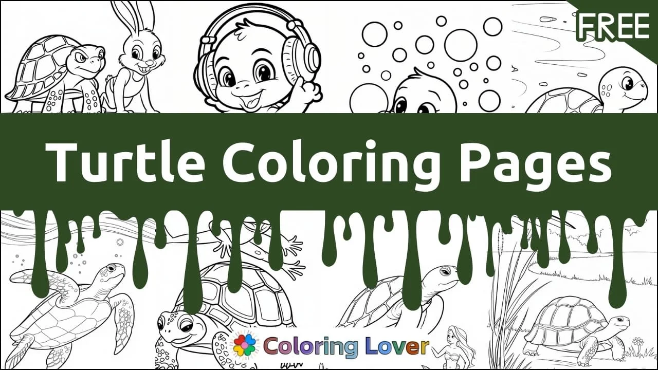 Awesome Turtle Coloring Pages!