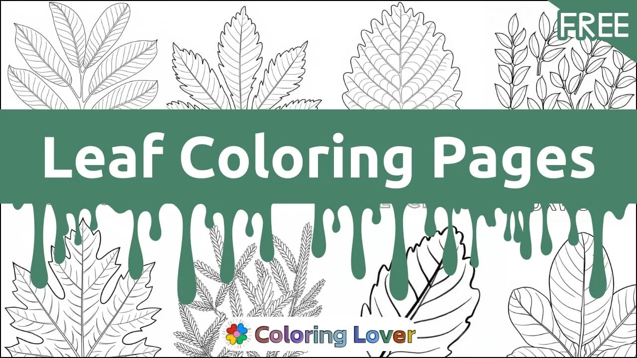 Páginas para Colorir de Folhas